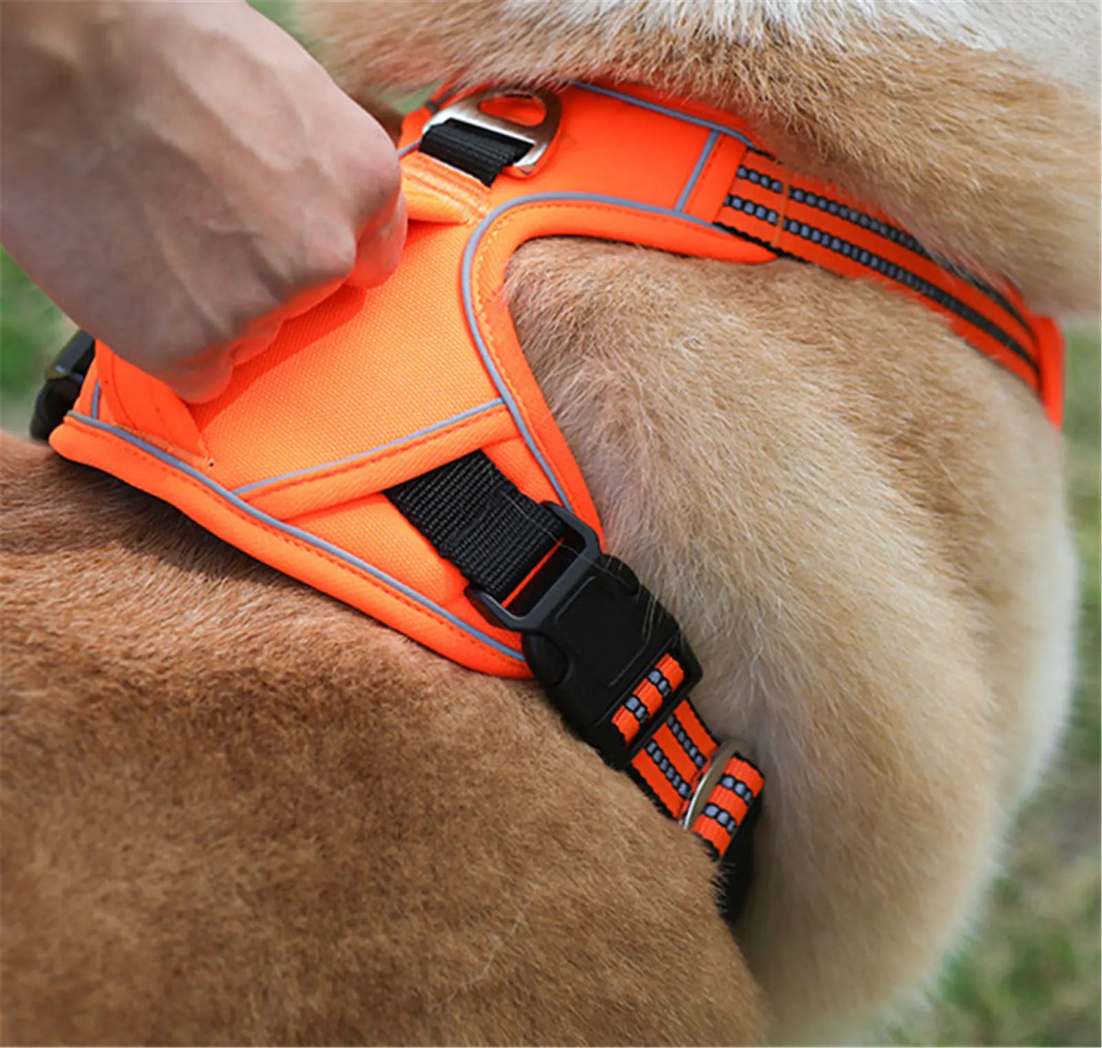 All-Weather Comfort Pet Harness