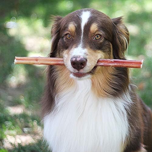 100% Natural Brazilian Bully Sticks - 1 lb Bag  10.00% Off Auto renew