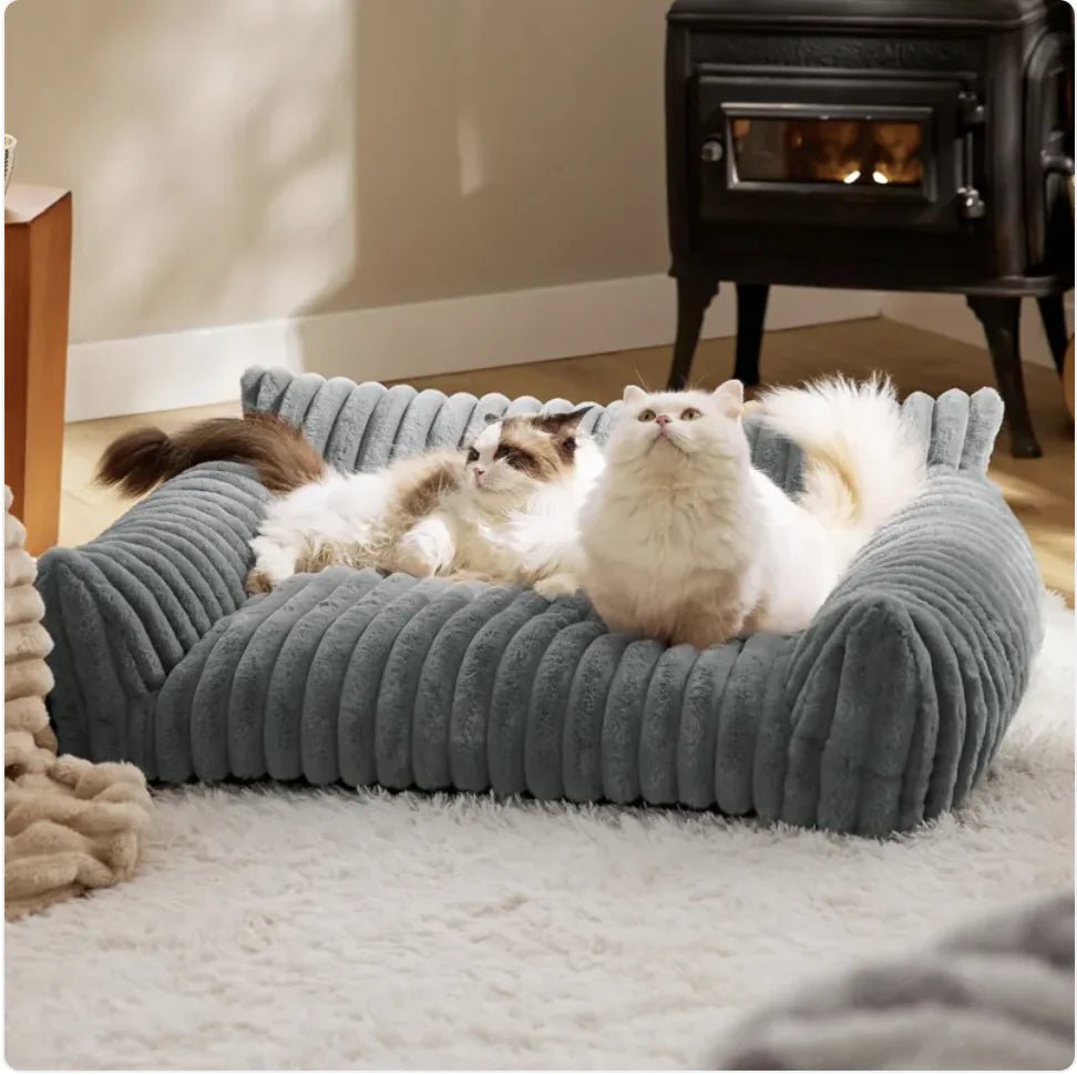 Bedsure Cute Cat Sofa - Soft Corduroy Fleece Pet Bed - PrimeNest